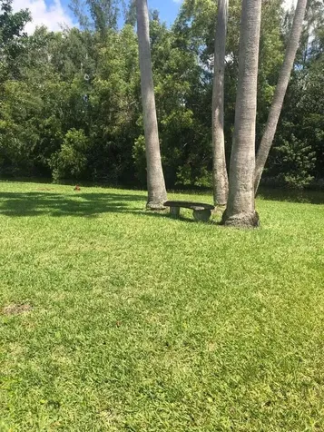 8649 NW 57th Court Coral Springs FL 33067