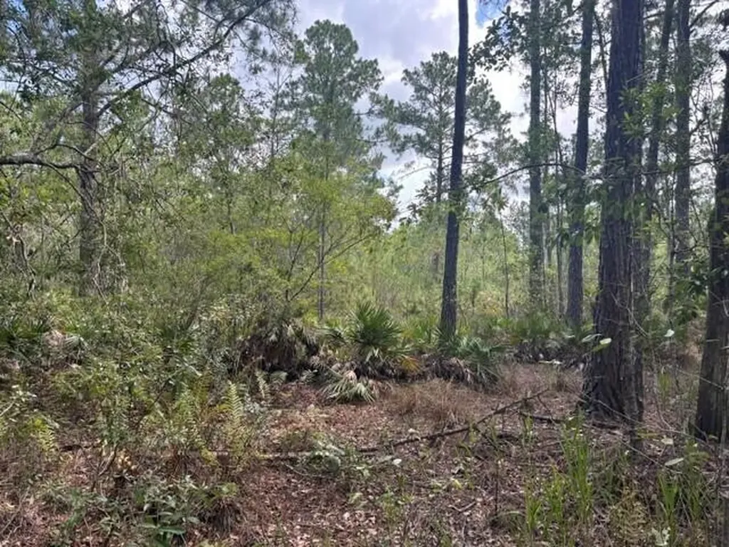 0 Water Road Clermont FL 33868