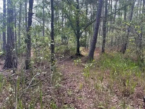 0 Water Road Clermont FL 33868