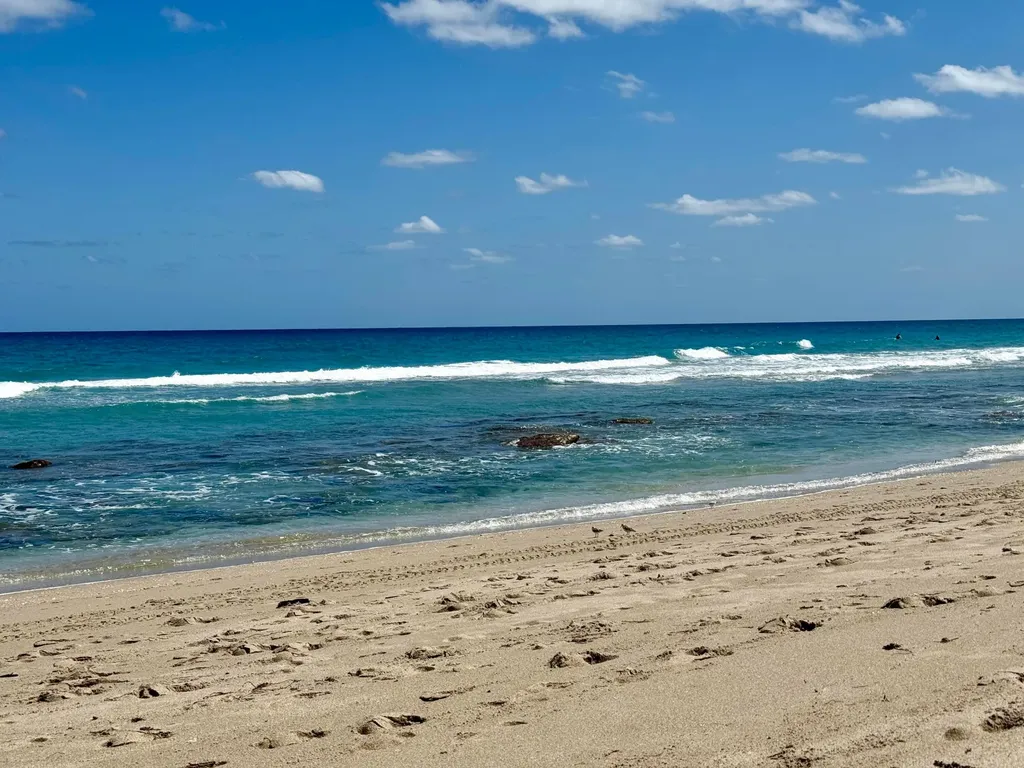 3605 S Ocean Boulevard South Palm Beach FL 33480