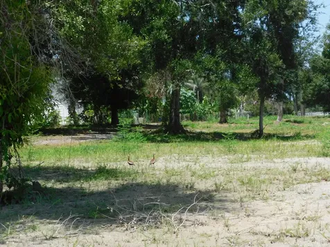 3625 Sunrise Boulevard Fort Pierce FL 34982