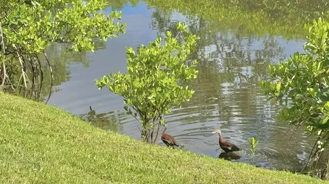 322 SW Indian Groves Drive Stuart FL 34994