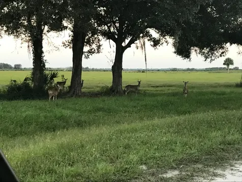 32801 Us Hwy 441 N Okeechobee FL 34972
