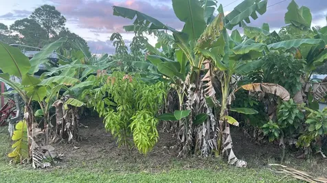460 S Sendero Street S Clewiston FL 33440