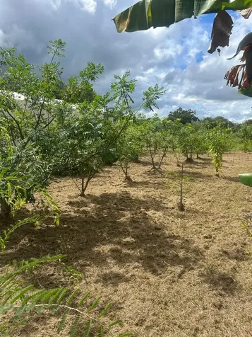 460 S Sendero Street S Clewiston FL 33440