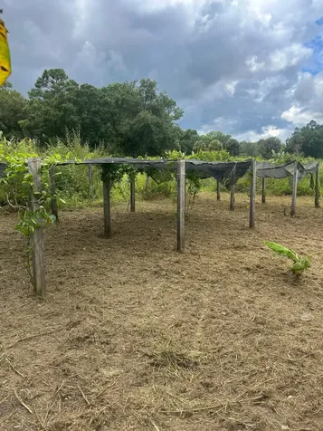 460 S Sendero Street S Clewiston FL 33440