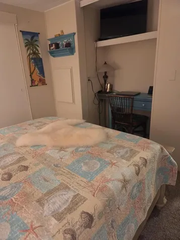 8020 SE Shenandoah Drive Hobe Sound FL 33455