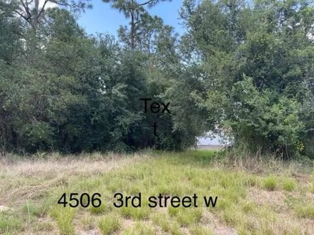 4506 3rd Street W Lehigh Acres FL 33936