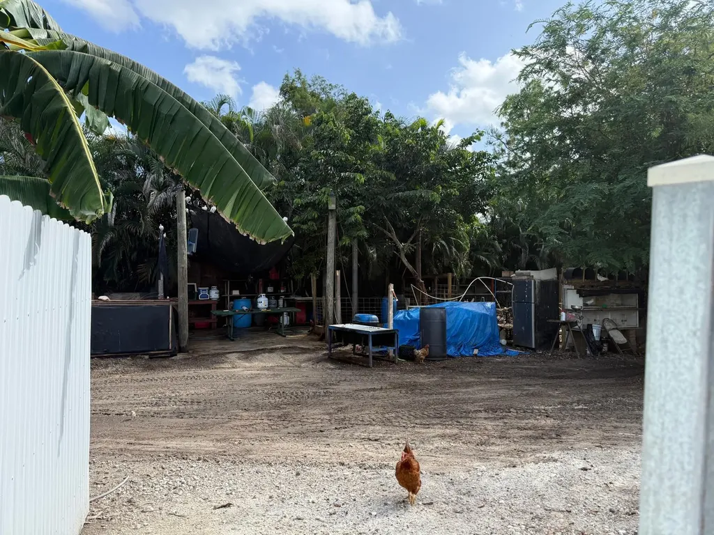 16393 E Lancashire Drive E The Acreage FL 33470