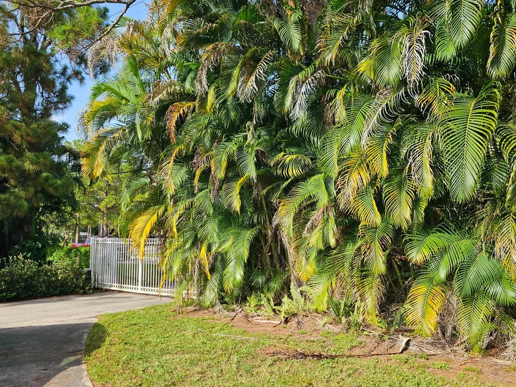 14369 69th Drive N Palm Beach Gardens FL 33418