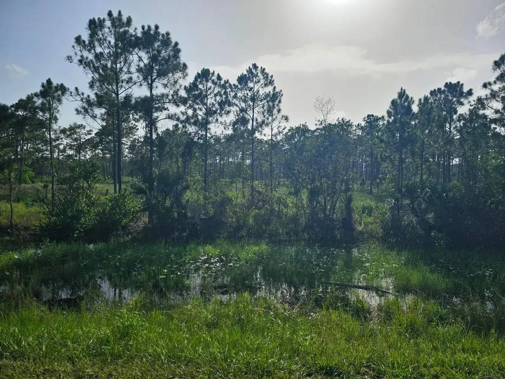14369 69th Drive N Palm Beach Gardens FL 33418