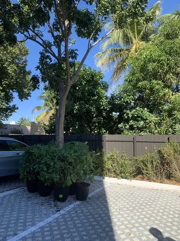 1053 NW 29th Street Miami FL 33127