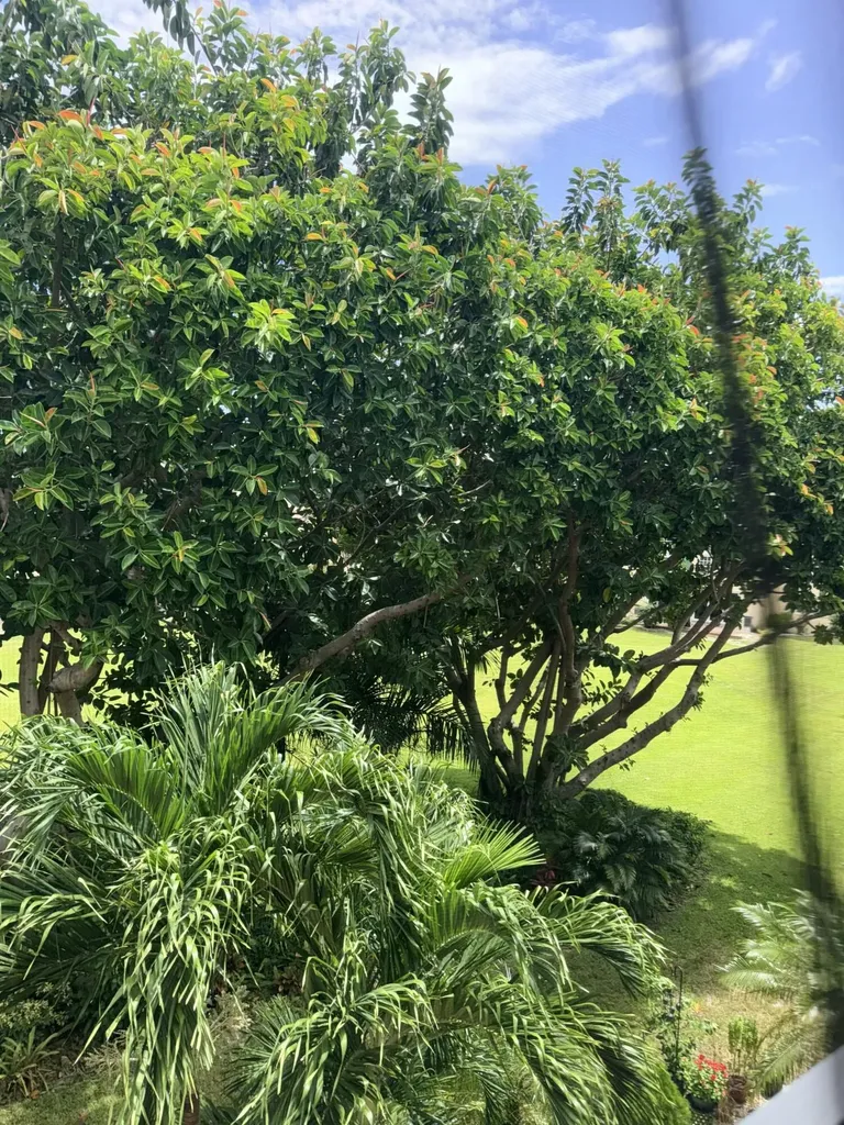2601 NE 3rd Court Boynton Beach FL 33435