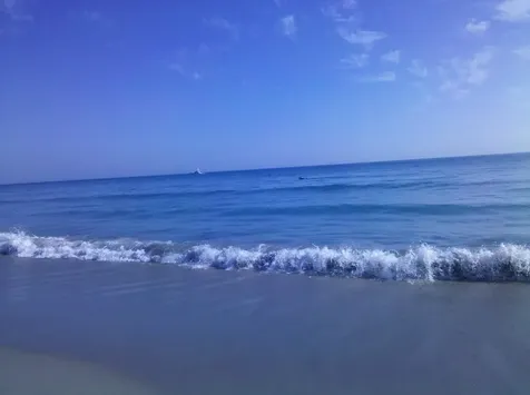 2001 Marina Isle Way Jupiter FL 33477