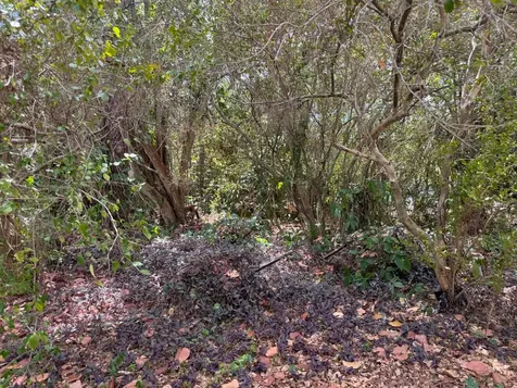 3358 S Jog Road Greenacres FL 33467