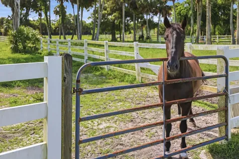 14095 Biddex Road Loxahatchee Groves FL 33470