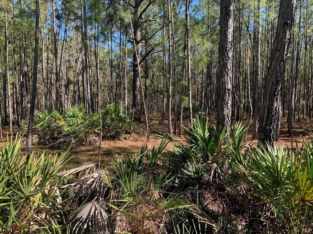 0 Poyner Road Polk City FL 33868