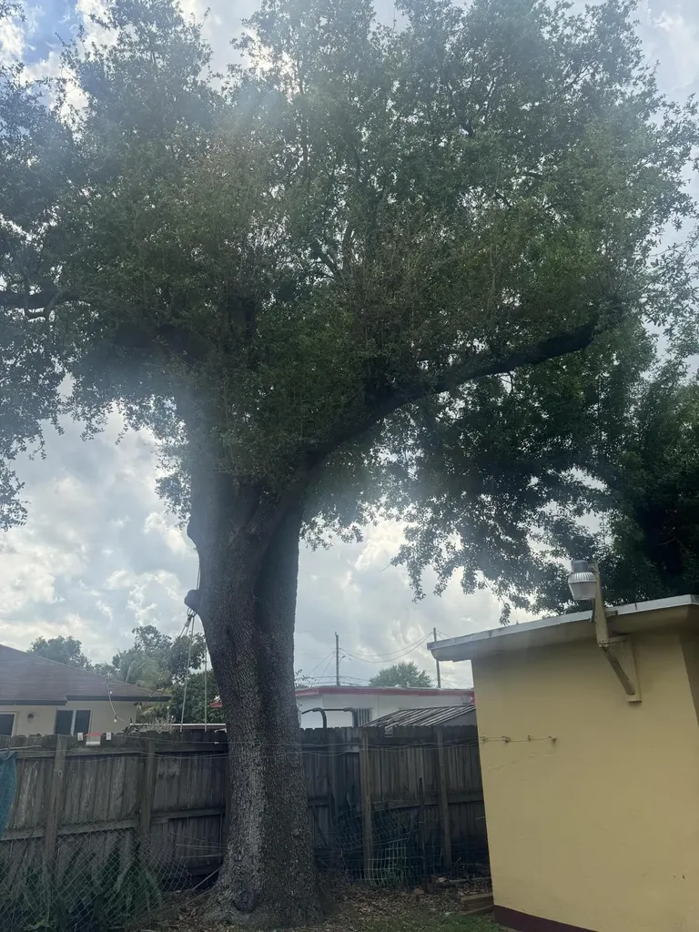 2360 NW 98th Street Miami FL 33147
