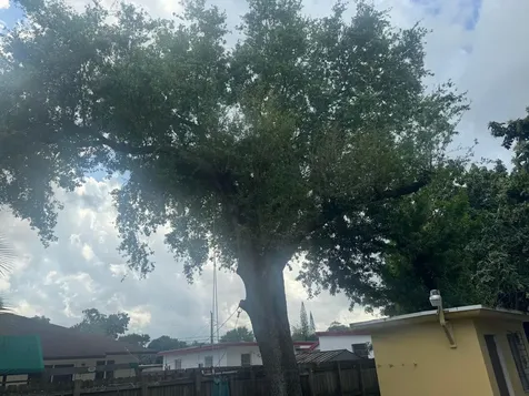 2360 NW 98th Street Miami FL 33147
