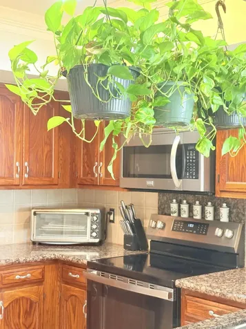 38 W Balfour Road W Palm Beach Gardens FL 33418