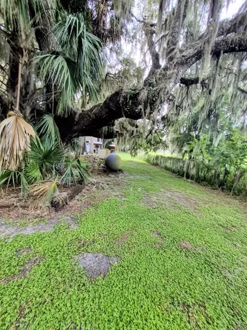 70 Tin House Cove Road Lorida FL 33857
