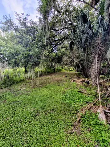 70 Tin House Cove Road Lorida FL 33857