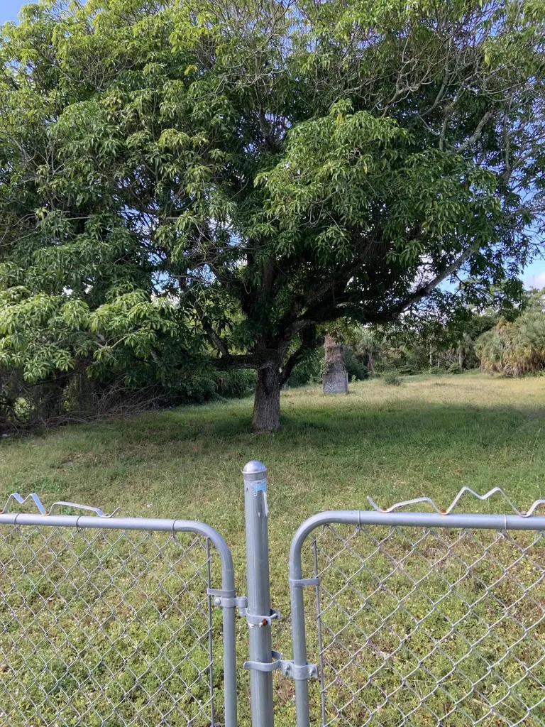 1099 N Haverhill Road Haverhill FL 33417