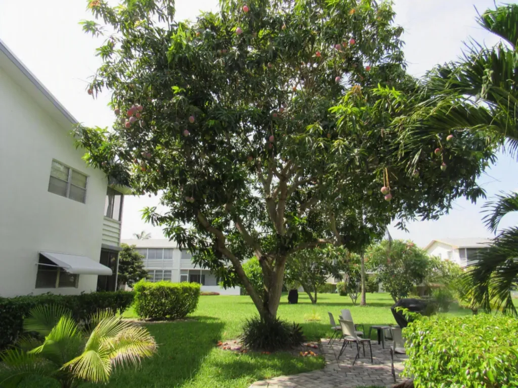 76 Cambridge D West Palm Beach FL 33417
