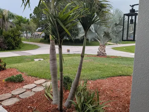261 Midvale Terrace Sebastian FL 32958