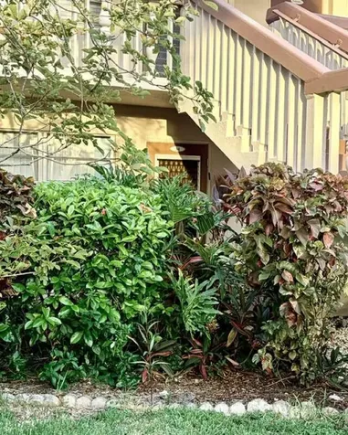54 Upminster C Deerfield Beach FL 33442