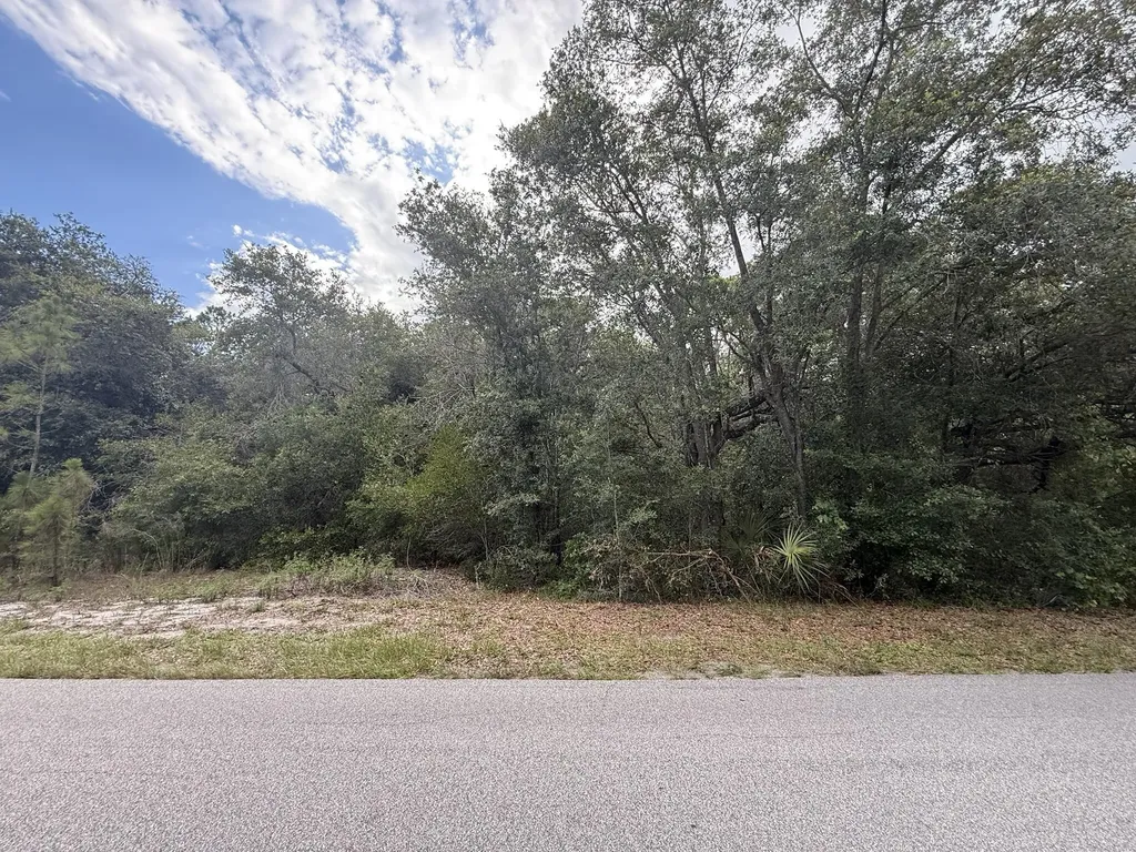 1012 Wildflower Street Lake Placid FL 33852