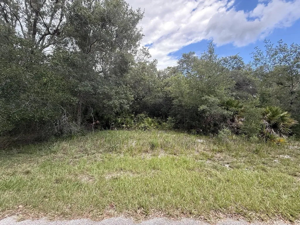 1012 Wildflower Street Lake Placid FL 33852
