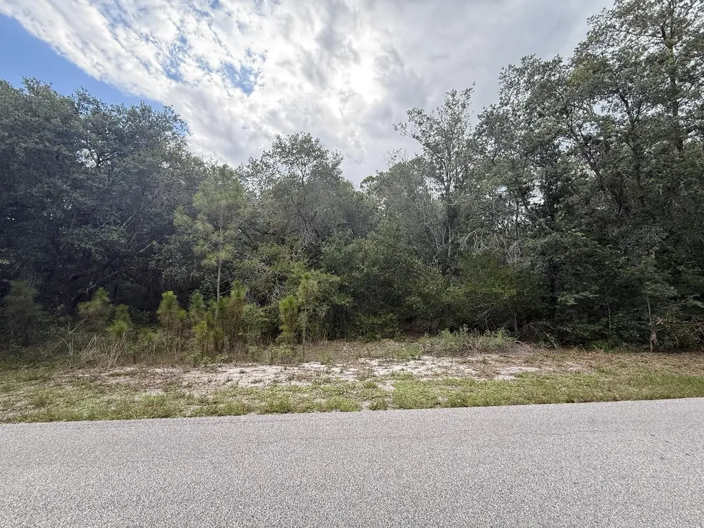 1012 Wildflower Street Lake Placid FL 33852