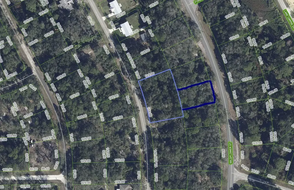 1012 Wildflower Street Lake Placid FL 33852