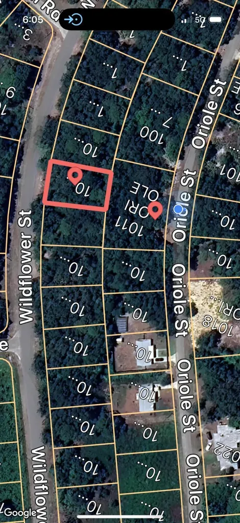 1012 Wildflower Street Lake Placid FL 33852