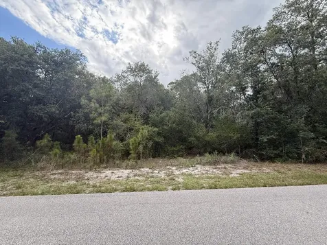 1012 Wildflower Street Lake Placid FL 33852