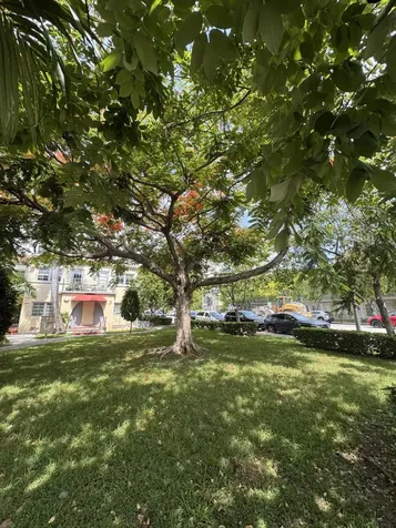1450 Meridian Avenue Miami Beach FL 33139