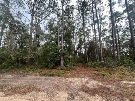 Tbd Susan Street Interlachen FL 32148