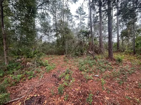 Tbd Susan Street Interlachen FL 32148