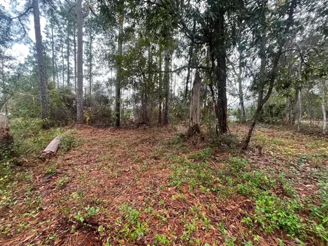 Tbd Susan Street Interlachen FL 32148
