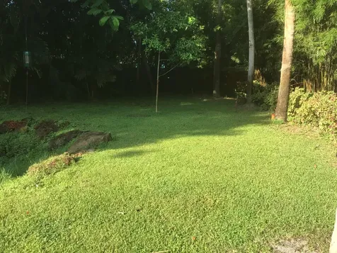 2019 SW 29th Avenue Fort Lauderdale FL 33312