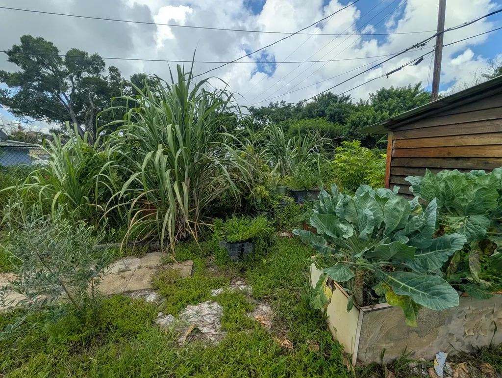 625 Coconut Avenue N Port St Lucie FL 34952