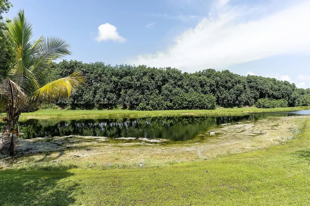 875 Bayside Lane Weston FL 33326