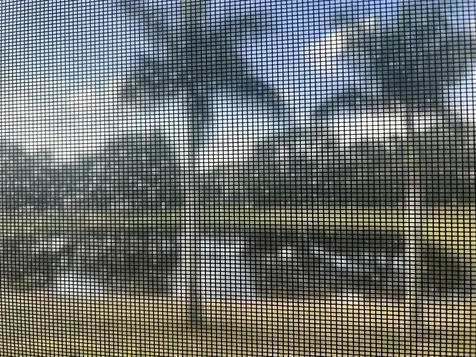 3640 Whitehall Drive West Palm Beach FL 33401