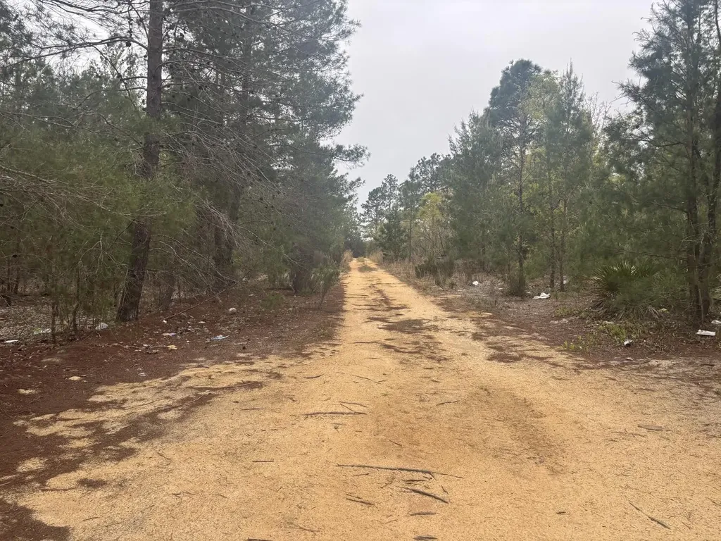 0 Grey Street Interlachen FL 32148