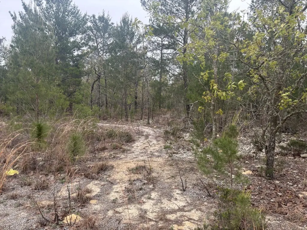 0 Grey Street Interlachen FL 32148