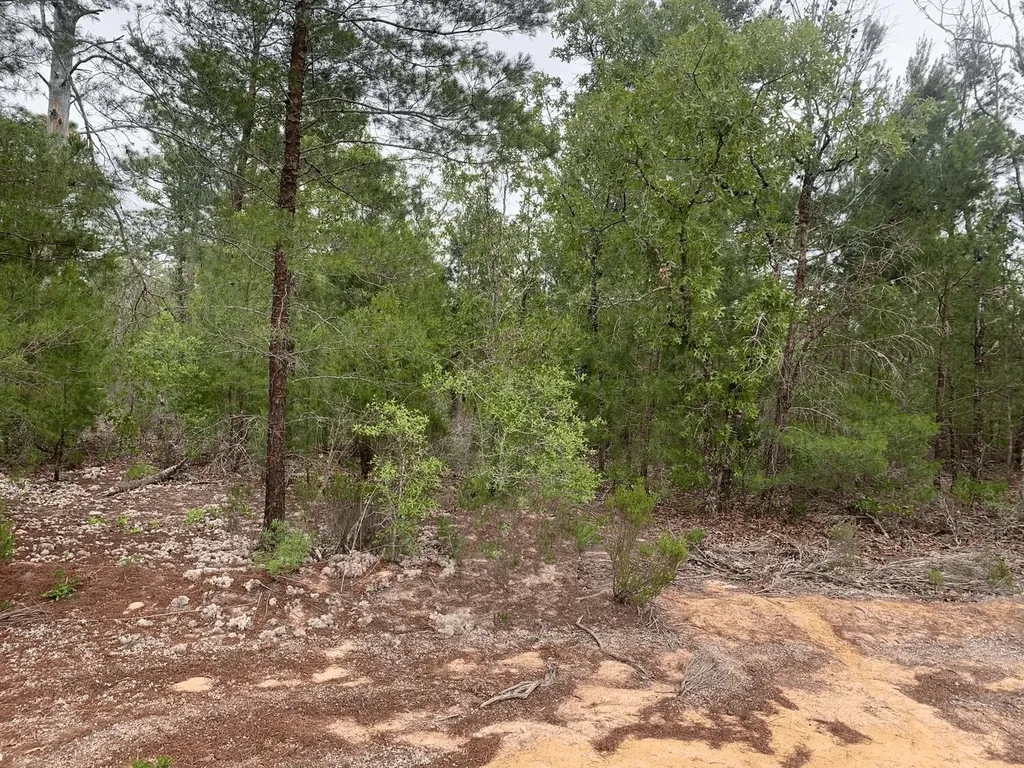 0 Grey Street Interlachen FL 32148