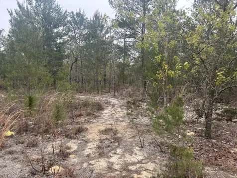 0 Grey Street Interlachen FL 32148
