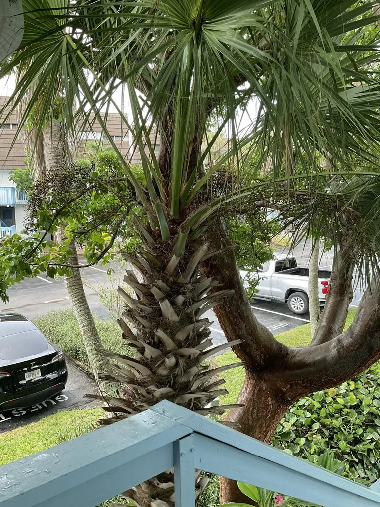 11000 S Ocean Drive Jensen Beach FL 34957