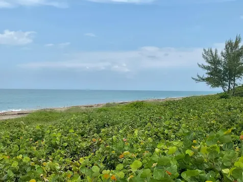 11000 S Ocean Drive Jensen Beach FL 34957
